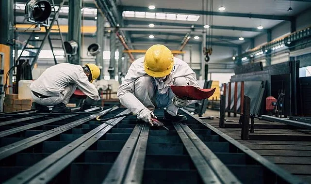 Yenifoça Fare İlaçlama